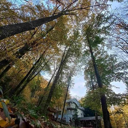 База Відпочинку Шиповець Poroshkovo Ngoại thất bức ảnh