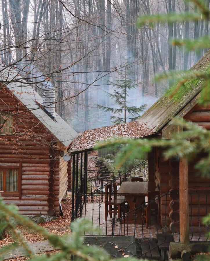 База Відпочинку Шиповець Poroshkovo Ngoại thất bức ảnh
